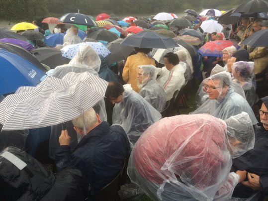 IMG_9081_539x404_ponchos